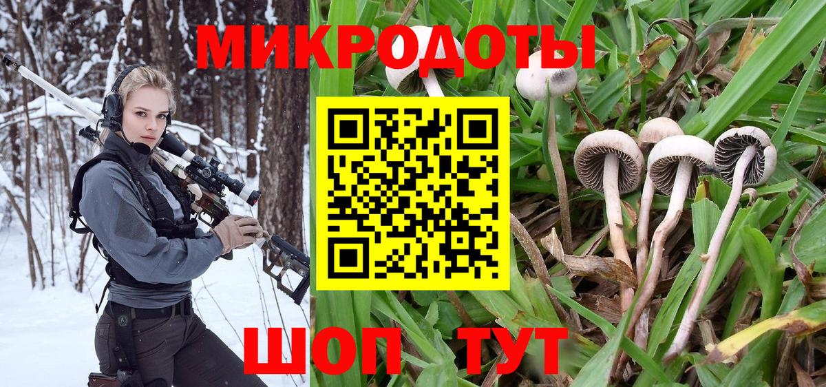Ноябрьск  Псилоцибиновые грибы мицелий  цены наркотик  Псилоцибиновые грибы MAGIC MUSHROOMS  Вход с VPN 