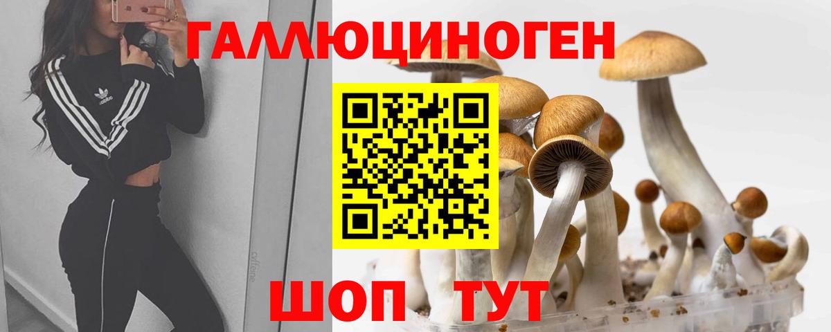 MDMA  ГАШИШ  Ноябрьск  Героин  Меф кристаллы  Марихуана  Вход с VPN 