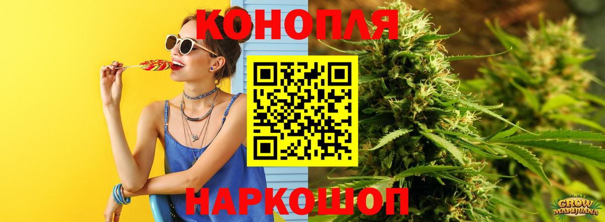 Бошки Шишки конопля Ноябрьск
